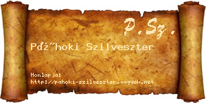 Páhoki Szilveszter névjegykártya